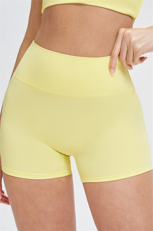 The New Isabella Shorts