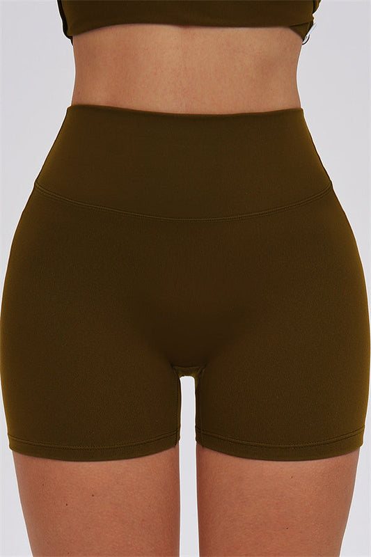 The Svelte Shorts