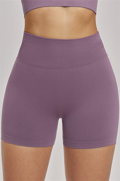 The Vision Sports Bra Shorts 2-Piece Set