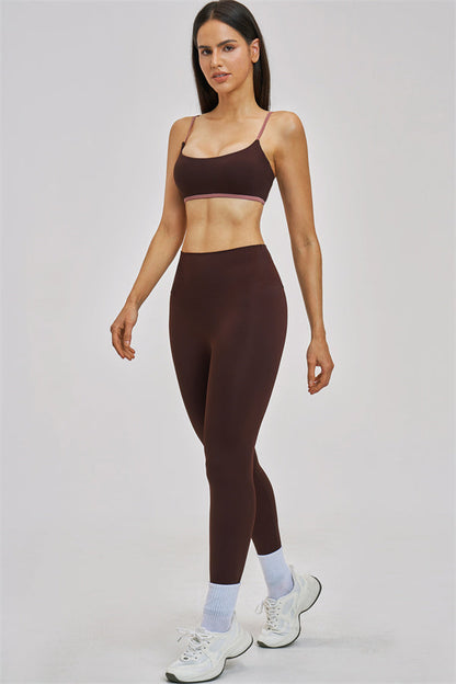 The New Seraphine Sports Bra