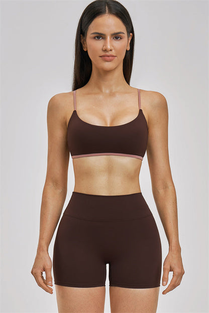 The New Seraphine Sports Bra