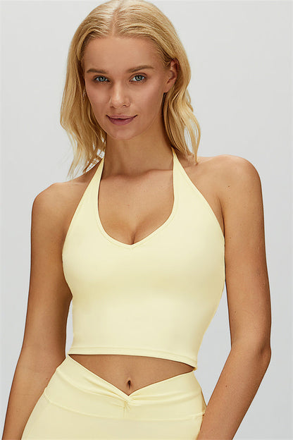 The Dreamy Halter Crop Top