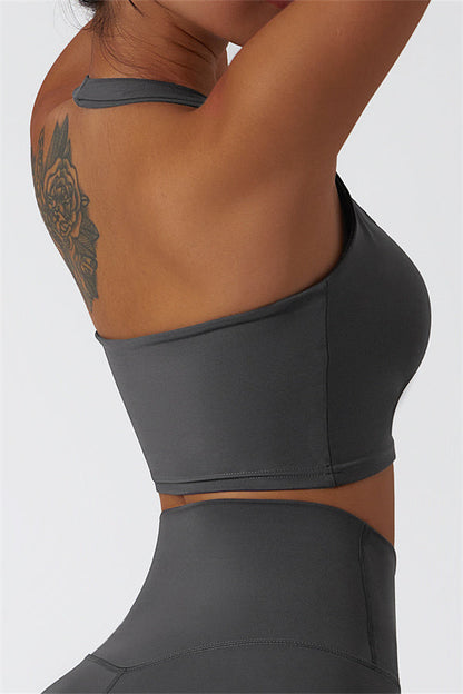 The Seraphine Halter Crop Top