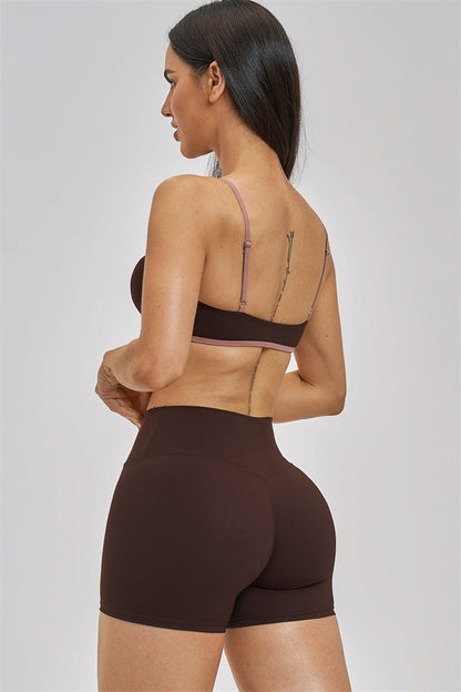 The New Seraphine Sports Bra