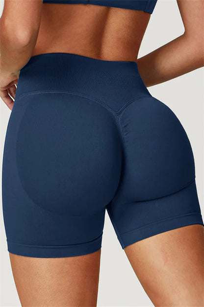 The Elara Sports Bra Shorts 2-Piece Set