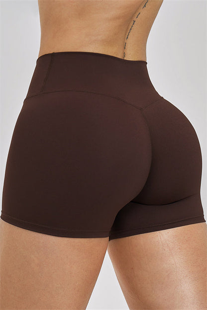 The Seraphine Sports Bra Shorts 2-Piece Set