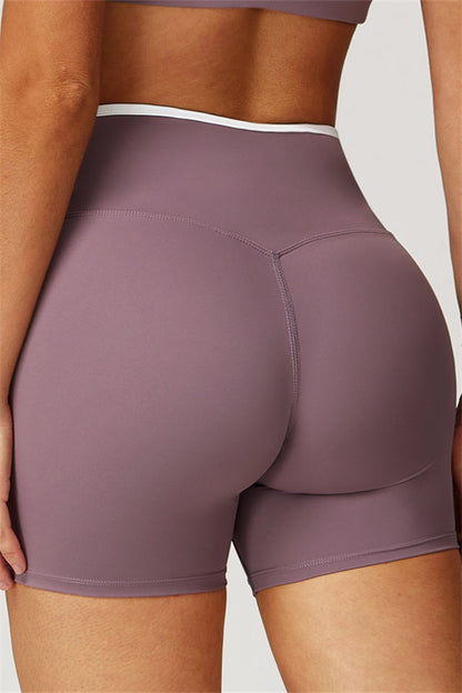 The Boost Sports Bra Shorts 2-Piece Set