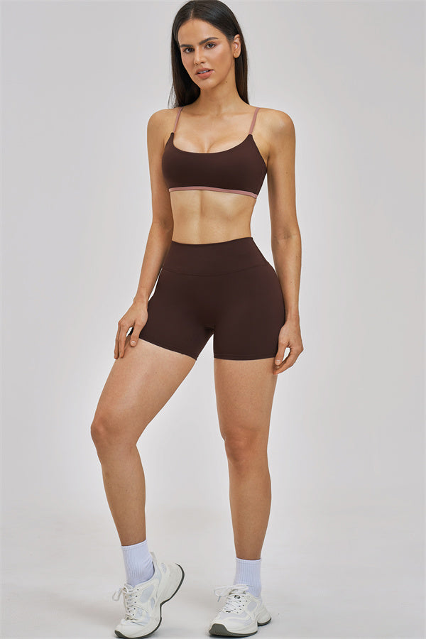 The New Seraphine Sports Bra