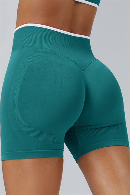 The Elevate Sports Bra Shorts 2-Piece Set