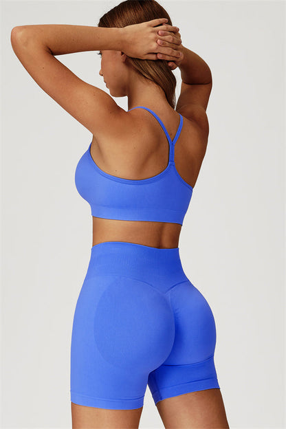 The Sculpt Sports Bra