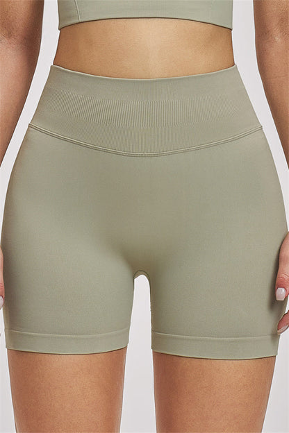 The Vision Sports Bra Shorts 2-Piece Set