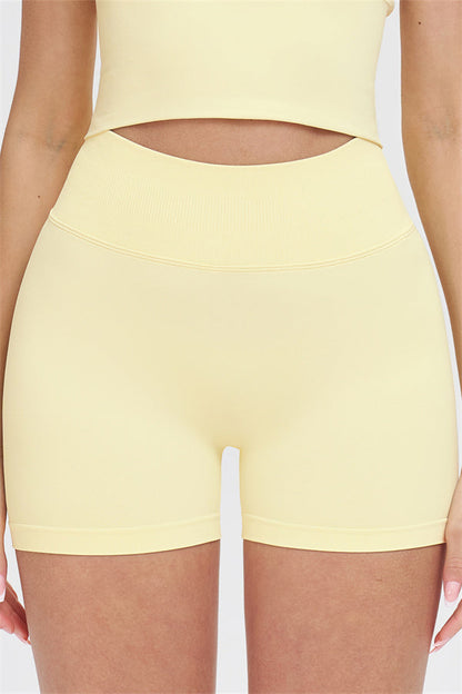 The Whim Sports Bra Shorts 2-Piece Set