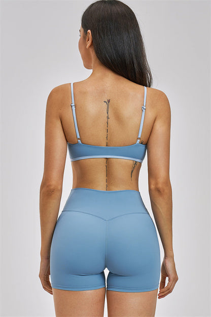 The New Seraphine Sports Bra
