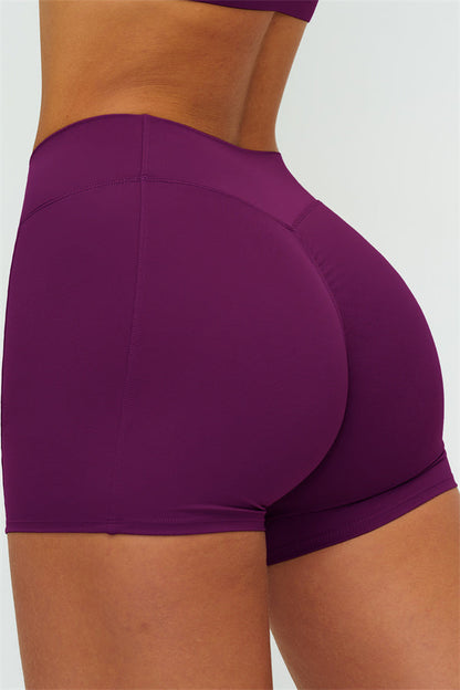 The Lushness V-Back Sports Bra Shorts 2-Piece Set