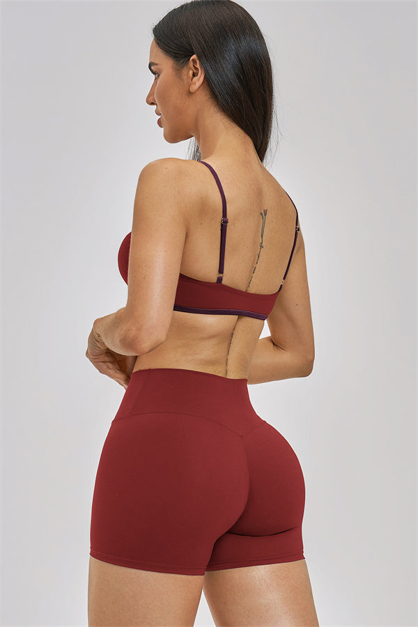 The New Seraphine Sports Bra