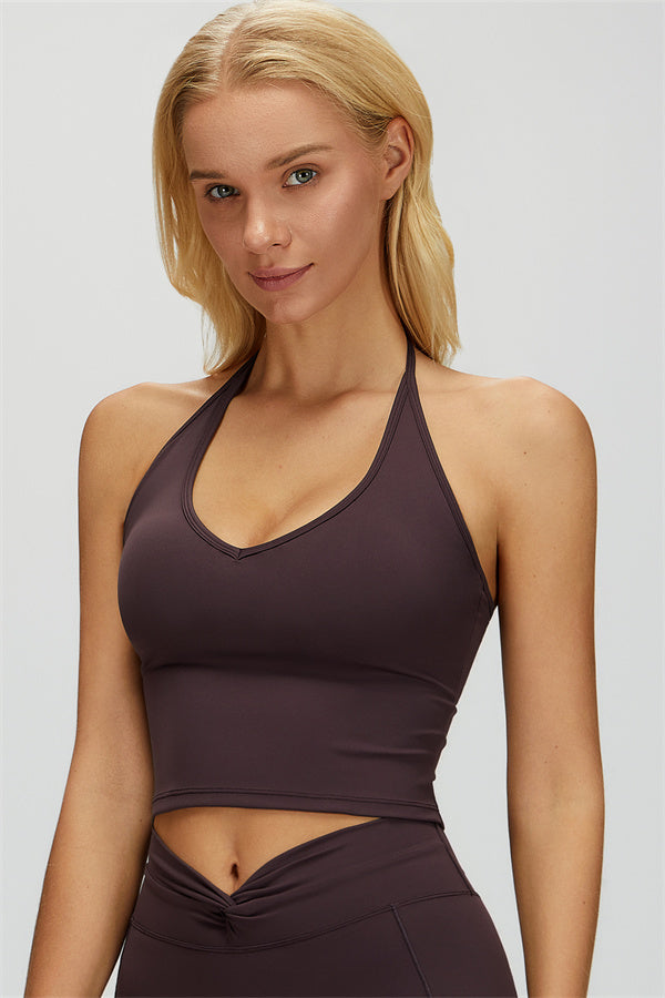 The Dreamy Halter Crop Top