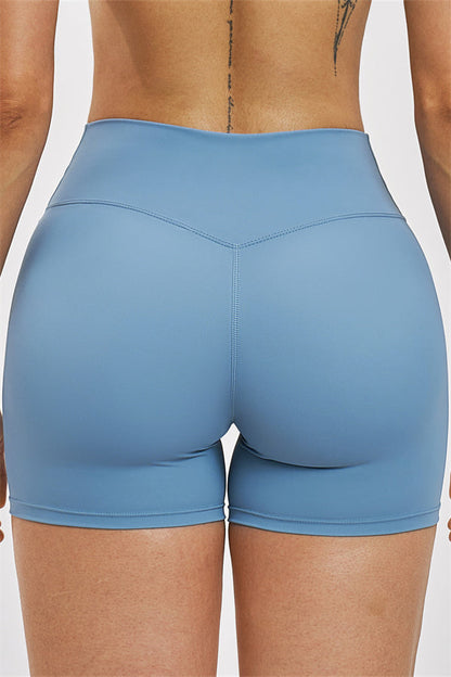 The Seraphine Sports Bra Shorts 2-Piece Set