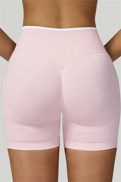 The Prime Line Crop Top Shorts 2-Piece Set