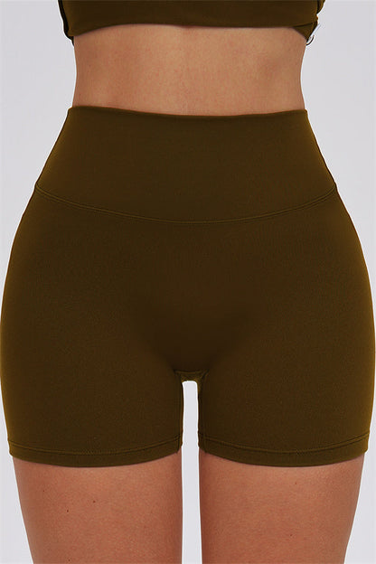 The Svelte Shorts