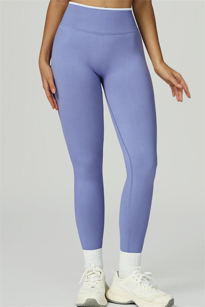 The Prime Line Crop Top Leggings 2-Piece Set