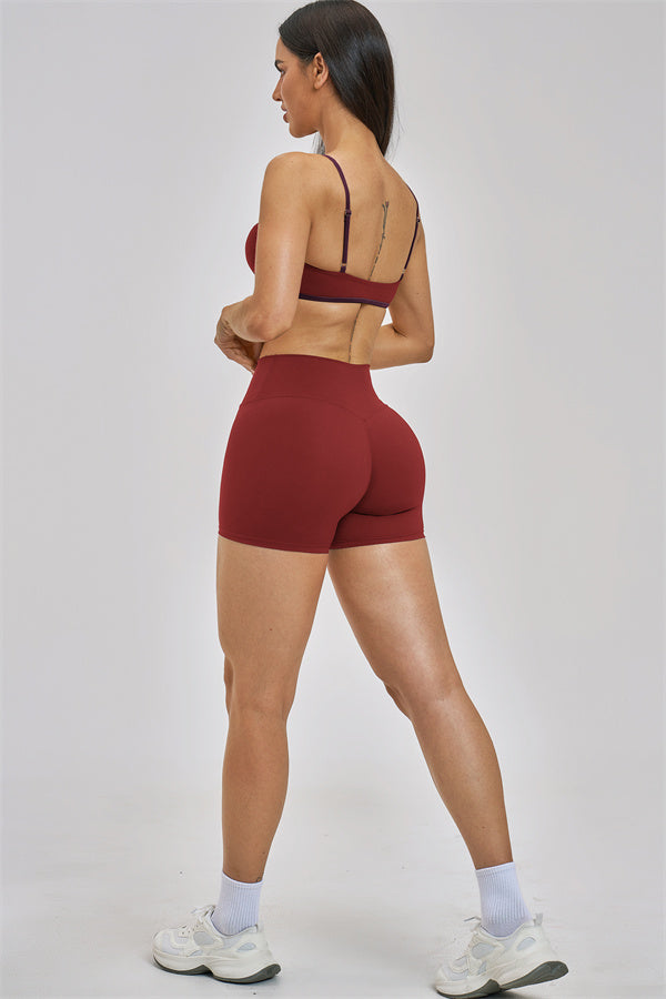 The New Seraphine Sports Bra