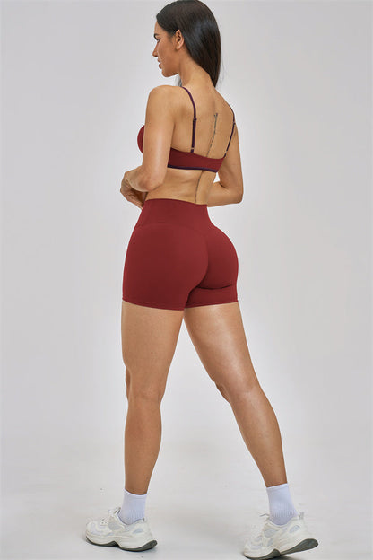 The New Seraphine Sports Bra