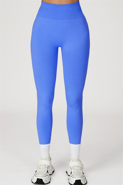 The Sculpt Leggings