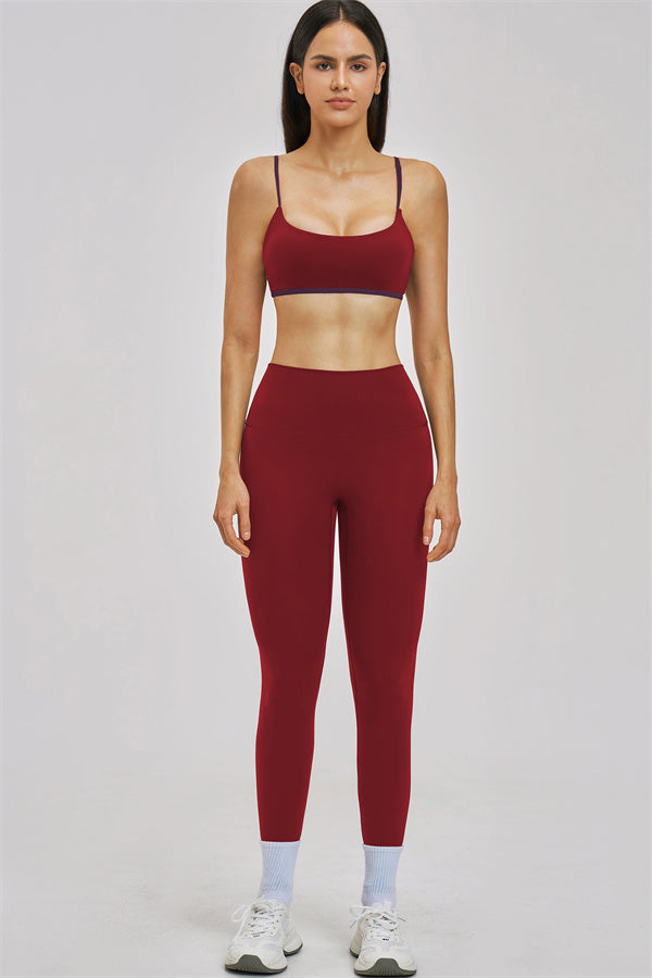 The New Seraphine Sports Bra