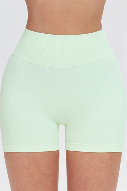 The Whim Sports Bra Shorts 2-Piece Set