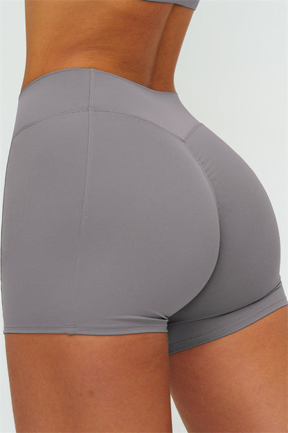 The Lushness Y-Back Sports Bra Shorts 2-Piece Set