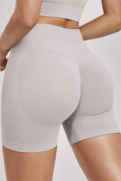 The Vision Sports Bra Shorts 2-Piece Set