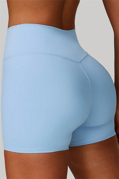 The Seraphine Sports Bra Shorts 2-Piece Set