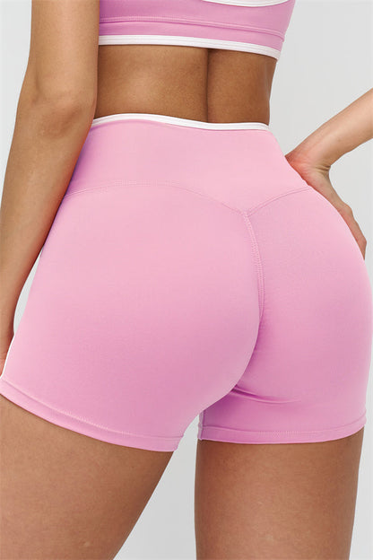 The Crave Sports Bra Shorts 2-Piece Set