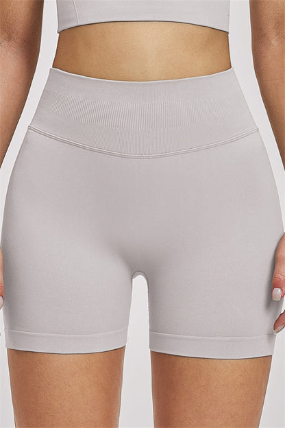 The Vision Sports Bra Shorts 2-Piece Set