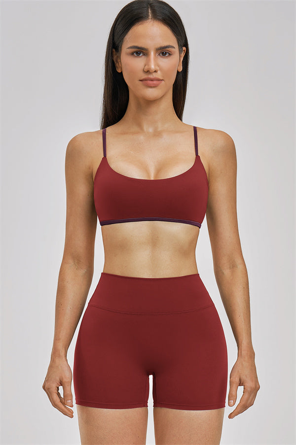 The New Seraphine Sports Bra
