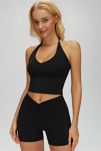 The Dreamy Halter Crop Top