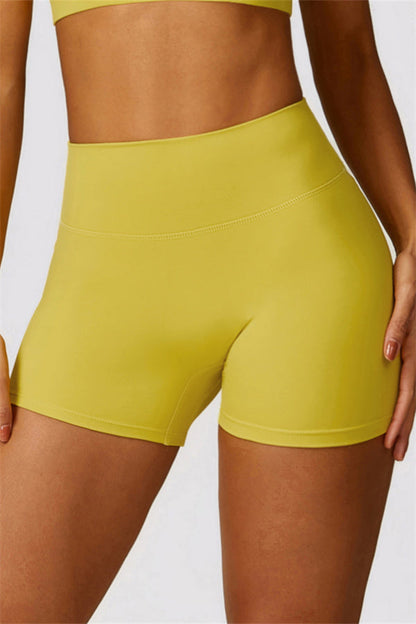 Amethyst Rain Shorts