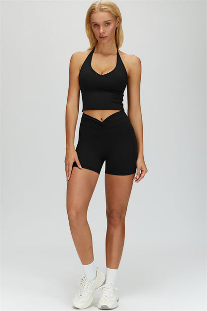 The Dreamy Halter Crop Top