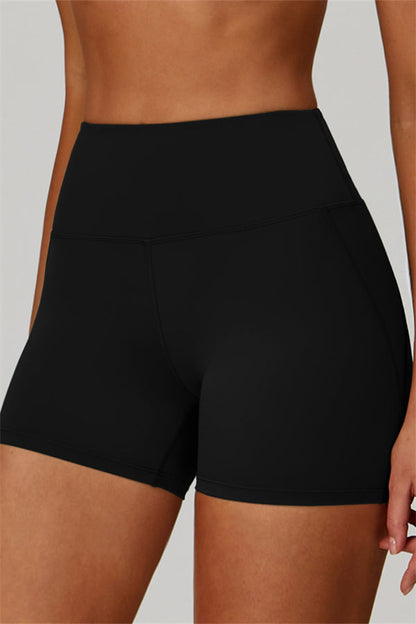 The Bold Shorts
