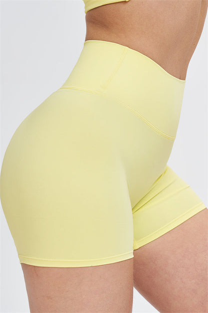 The Stride Crop Top Isabella Shorts 2-Piece Set