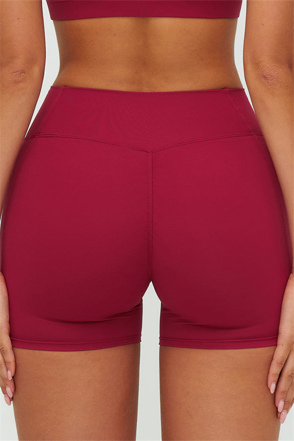 The Lushness V-Back Sports Bra Shorts 2-Piece Set