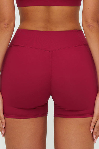 The Lushness V-Back Sports Bra Shorts 2-Piece Set
