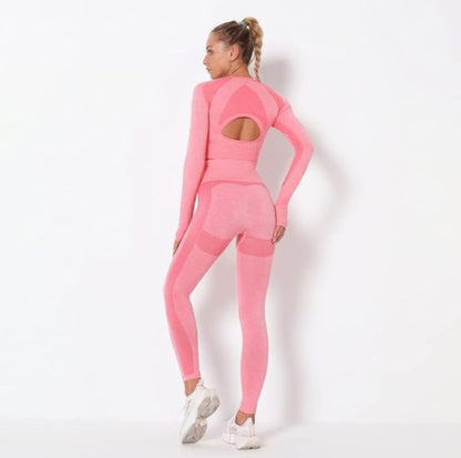 Seamless Long Sleeve Yoga Set