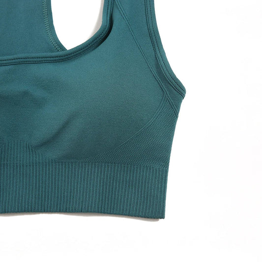 Seamless Women's Yoga Set - 2 Pcs Fitness Wear