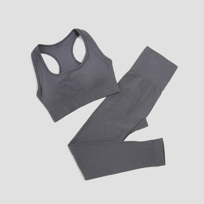 Seamless Women's Yoga Set - 2 Pcs Fitness Wear