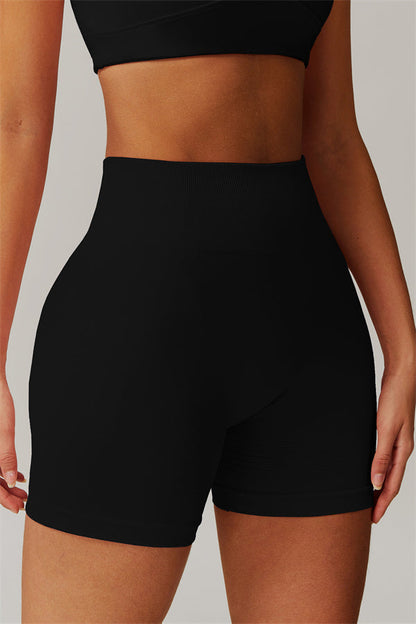 The Nova Pulse Sports Bra Shorts 2-Piece Set