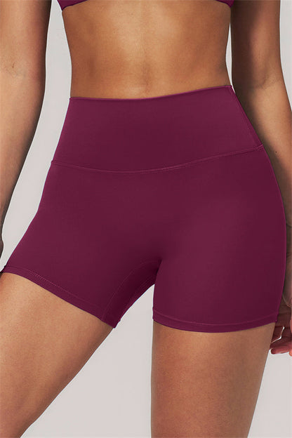 The Rapture Sports Bra Shorts 2-Piece Set
