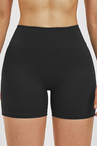 The Zenith Sports Bra Shorts 2-Piece Set