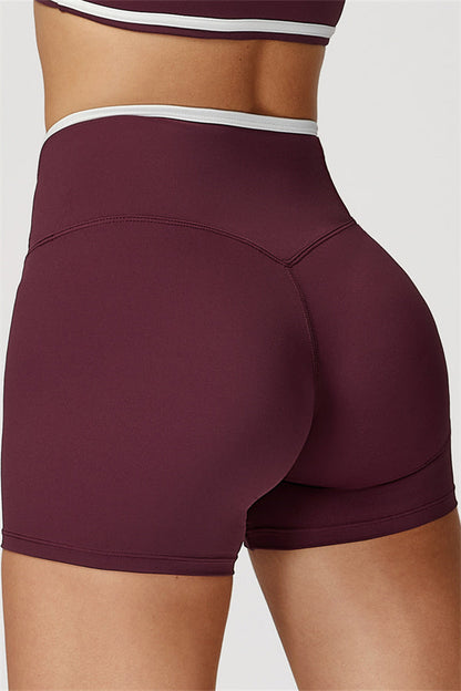 Stamina Fit Shorts