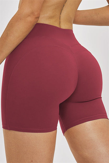The Zenith Shorts